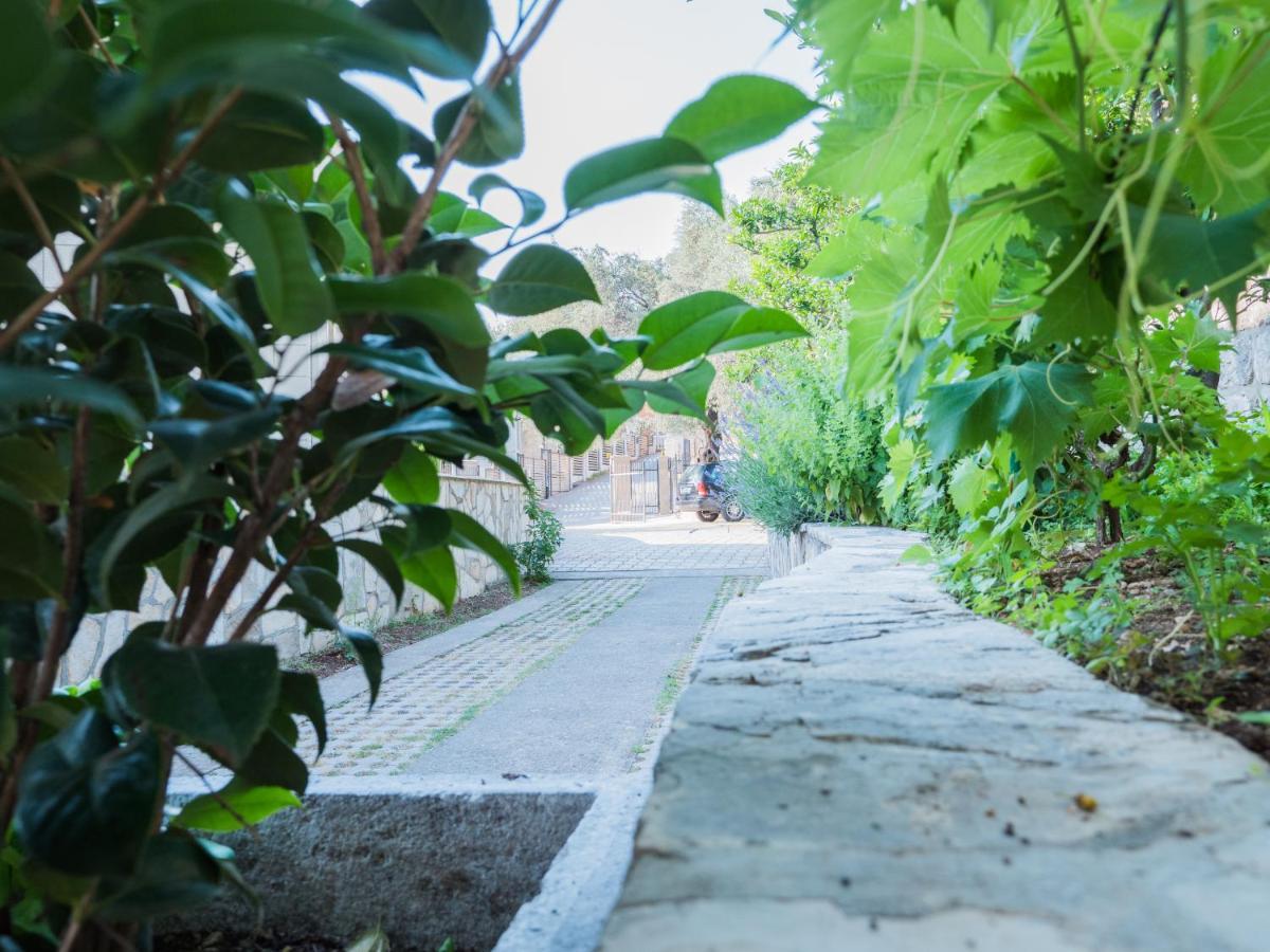 Rezevici Boutique Villa Petrovac المظهر الخارجي الصورة